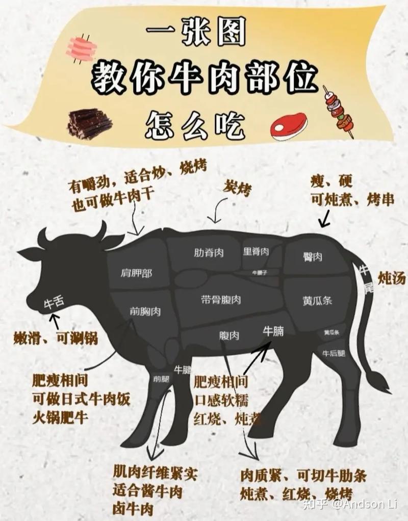 牛腱子肉的做法（牛腱子肉的做法步骤）