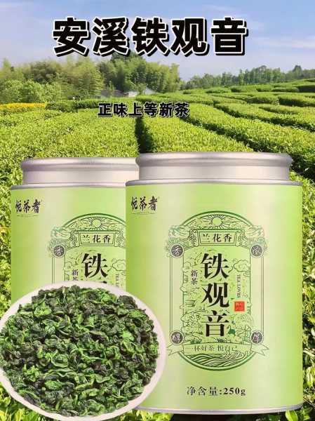 安溪铁观音是绿茶吗?（铁观音茶属于哪类茶）