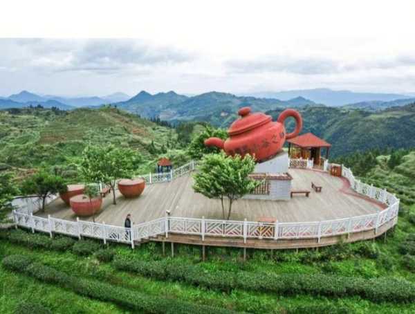 大田高山茶属于什么茶（大田高山茶风景区位置）