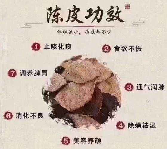 九重皮功效与作用及食用方法（九重皮做法）