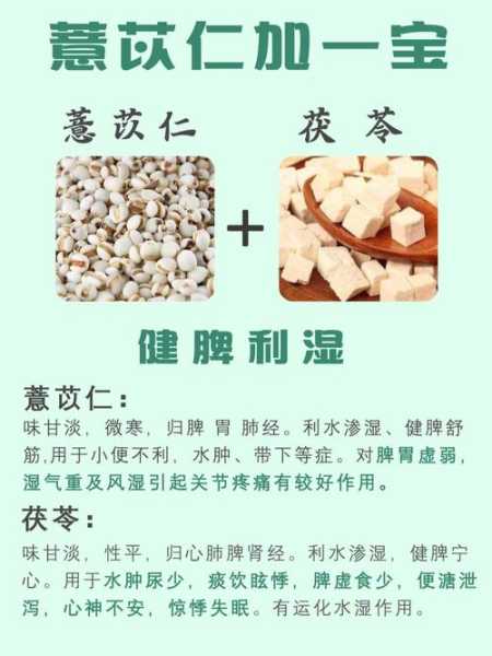 宁化薏米仁功效（宁化薏仁和普通薏仁的区别）