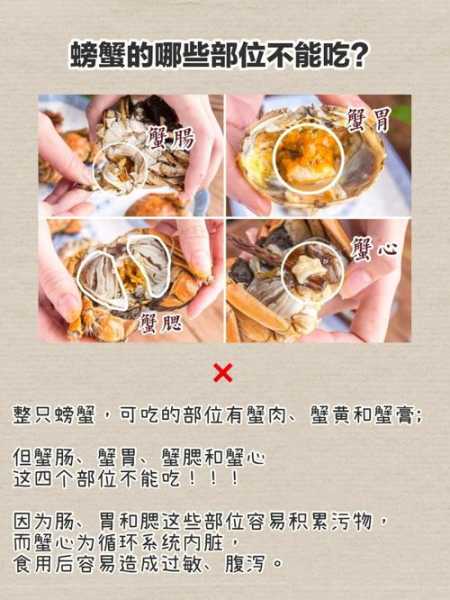 生地水蟹汤不能和什么同吃（生地螃蟹汤的作用与禁忌）