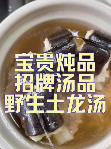 土龙汤的功效与禁忌（土龙汤是什么东西）