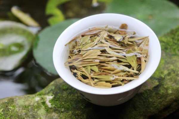 福鼎白茶和绿茶哪个好（福鼎白茶 绿茶）