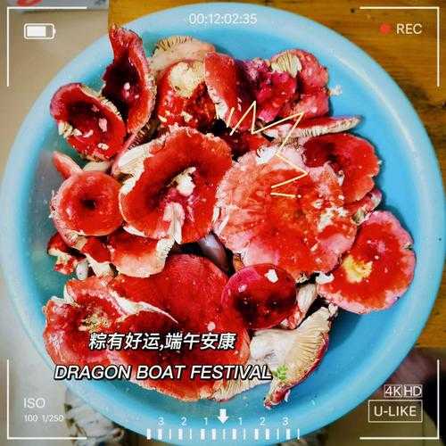 红菌豆腐的菌是什么菌（红菌豆腐的作用与功效）