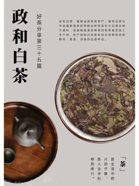 政和白茶的功效与作用（政和白茶来历与特点）