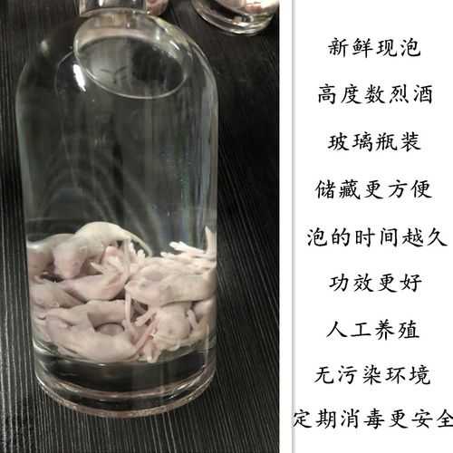 老鼠仔泡酒有什么疗效和功能（老鼠仔泡酒的作用能消肿吗）