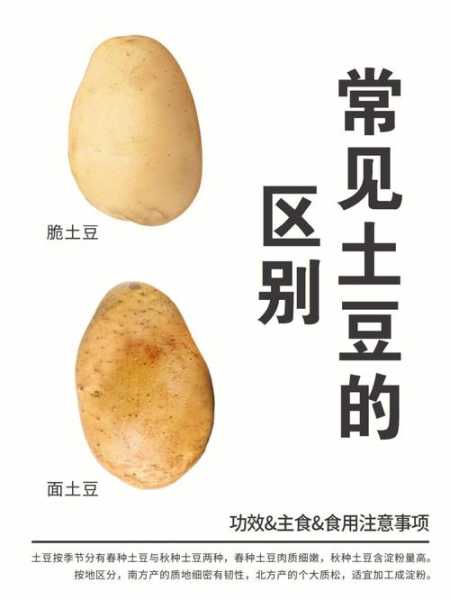 土豆糖尿病人能吃吗（降糖10大蔬菜）