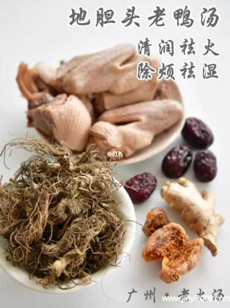 地胆头煲胡鸭的功效（地胆头鸭子汤有什么功效）