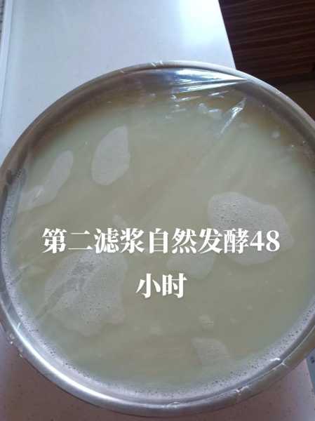 酸豆汁的营养价值 东北酸豆汁的做法