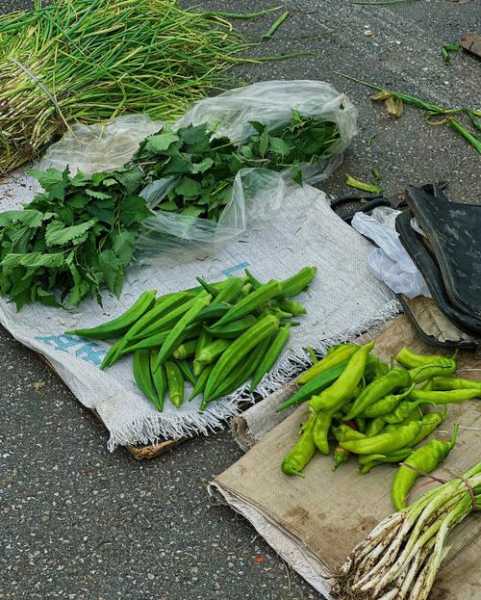 河菜的功效与药用价值 河菜怎么做好吃法