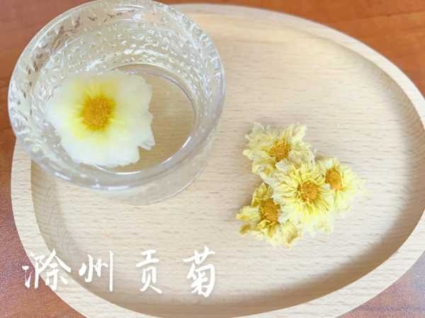 滁菊泡水喝有什么功效 滁菊怎么喝